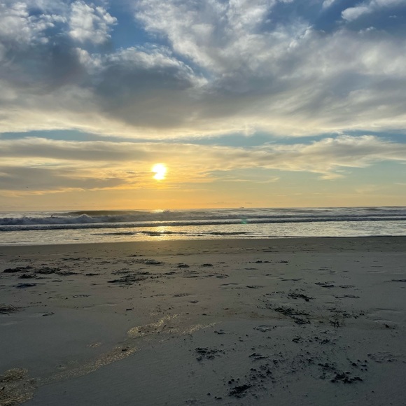 Christmas Advent Countdown Set of 12 Oyster Shells 🎁Wrapped Gives Back🎗️ - Picture 7 of 10